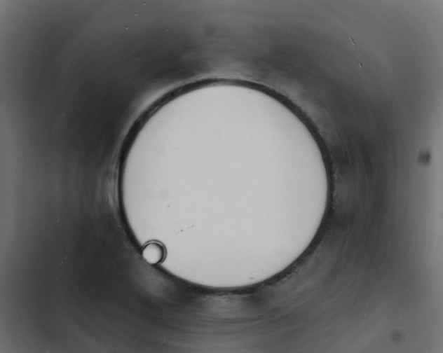 X0000103971272200809261826