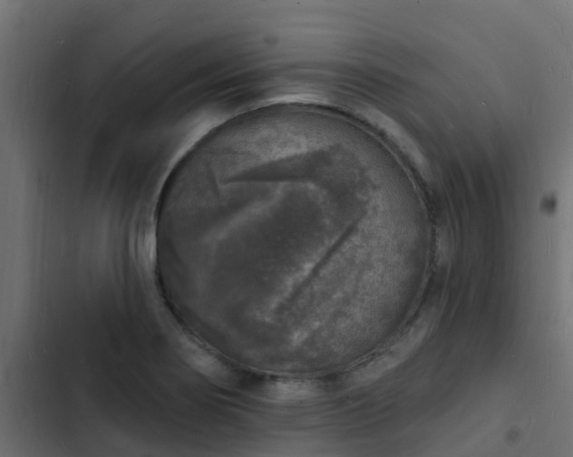 X0000103971274200809261826