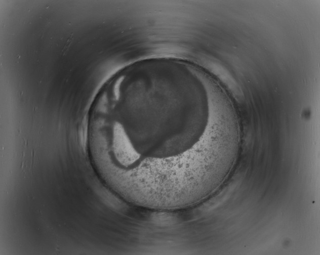 X0000103971275200809261826