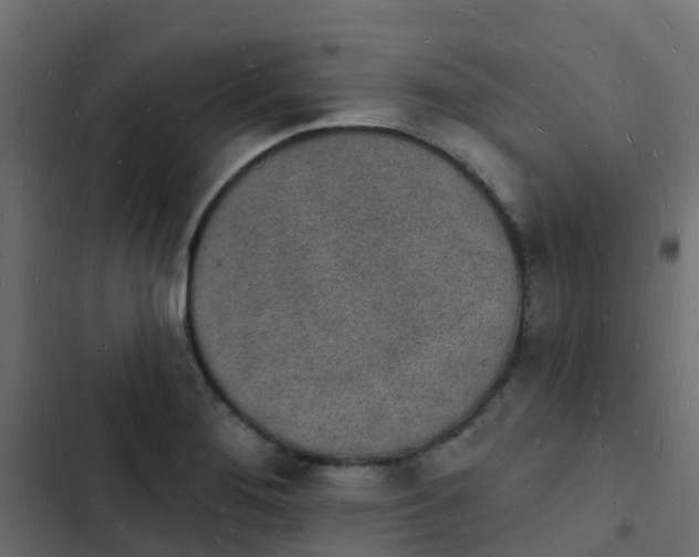 X0000103971276200809261826