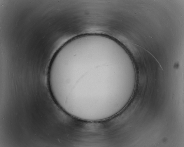 X0000103971277200809261826