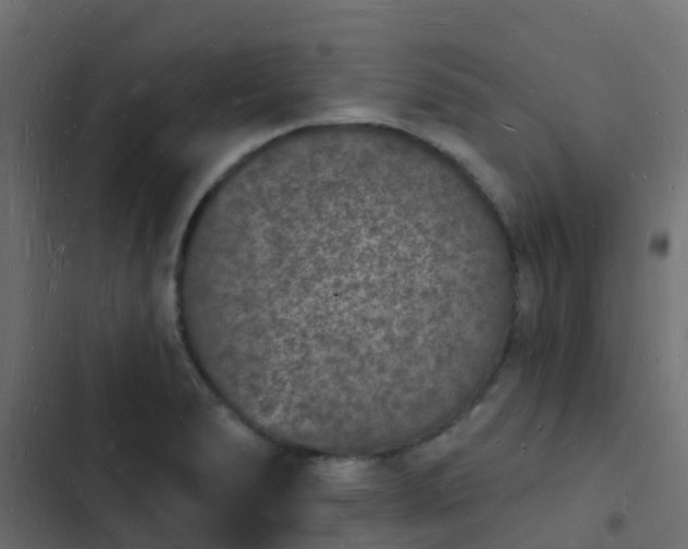 X0000103971278200809261826