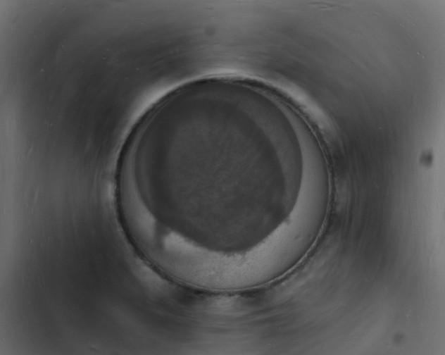 X0000103971279200809261826