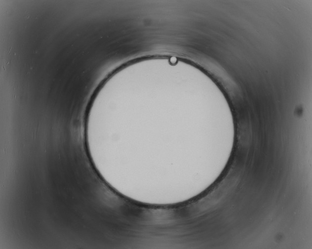 X0000103971280200809261826