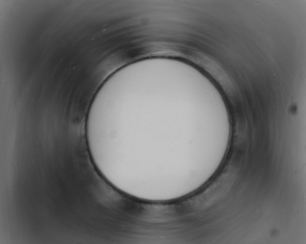 X0000103971281200809261826