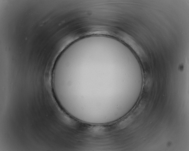 X0000103971282200809261826