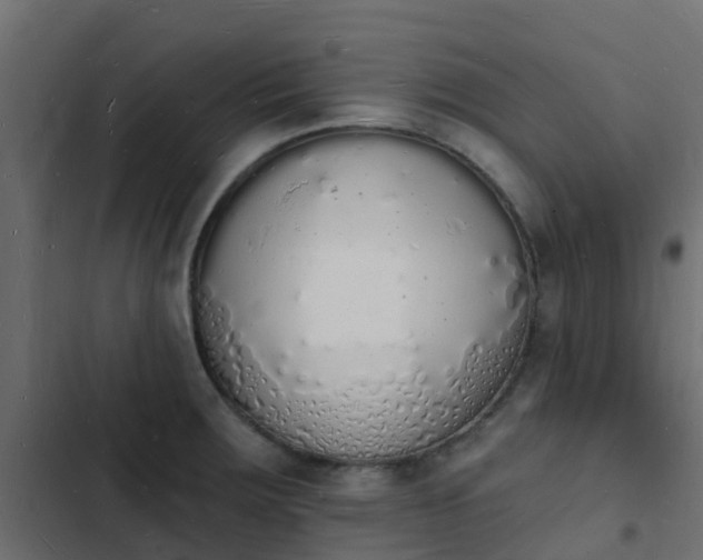 X0000103971283200809261826