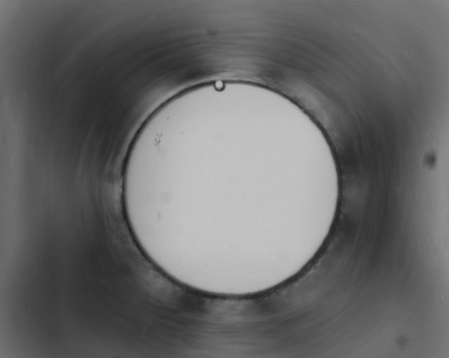 X0000103971284200809261826