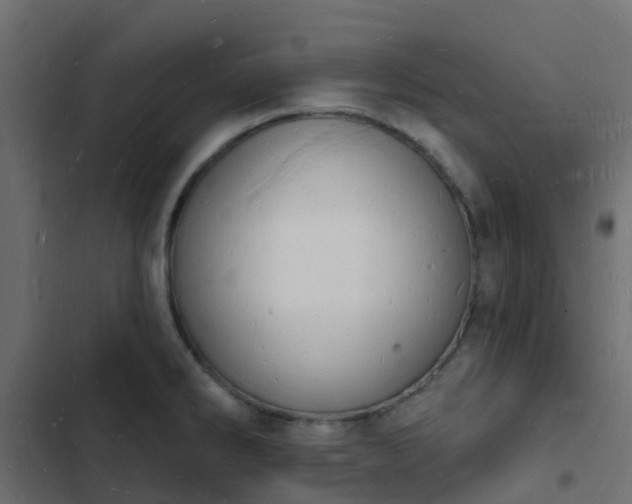 X0000103971286200809261826