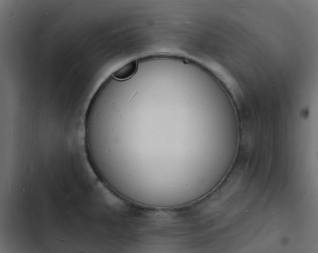 X0000103971287200809261826