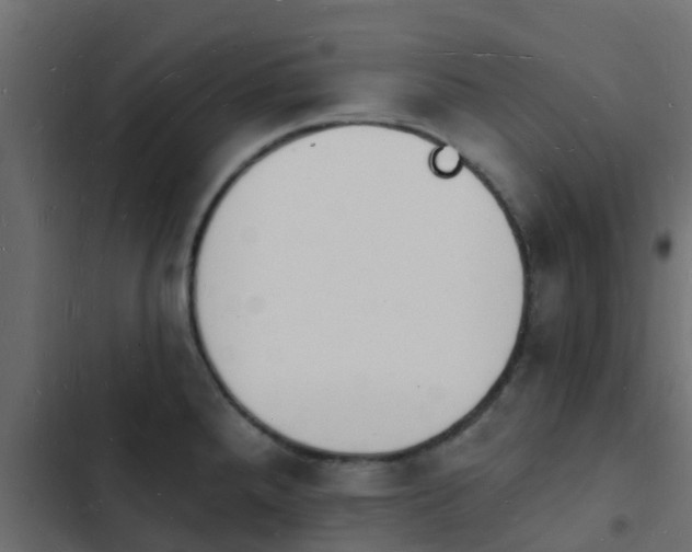 X0000103971288200809261826