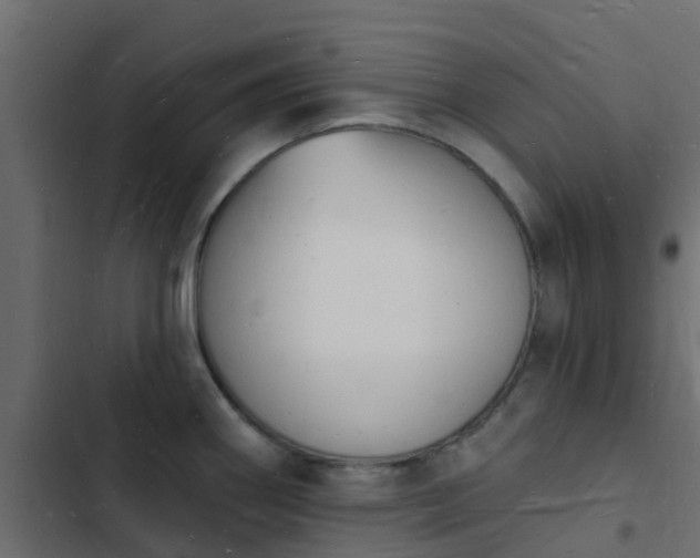 X0000103971290200809261825