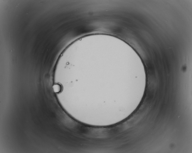 X0000103971292200809261825