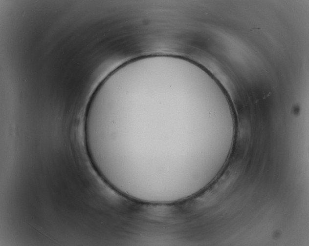 X0000103971293200809261825