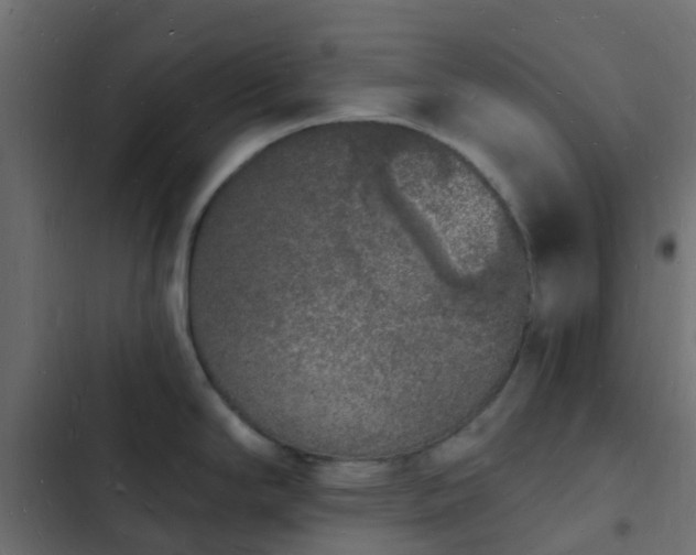 X0000103971294200809261825