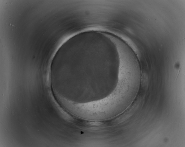 X0000103971295200809261825