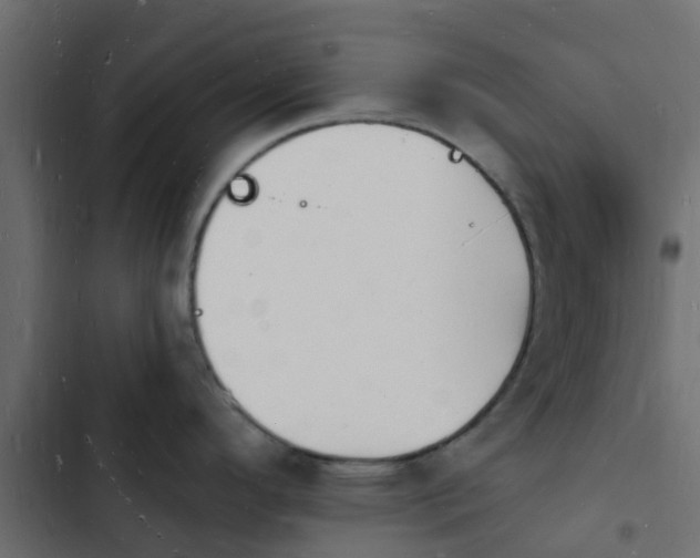 X0000103971296200809261825