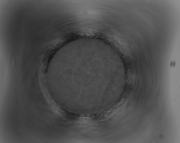 X0000103971297200809261825