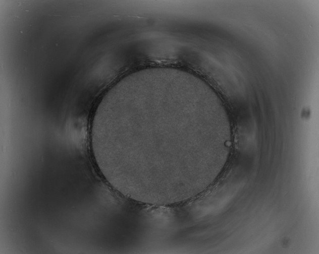 X0000103971298200809261825