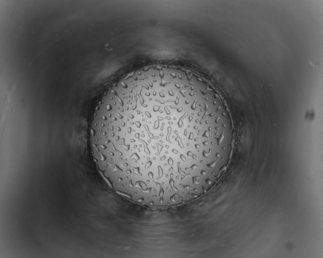 X0000103971301200809261825