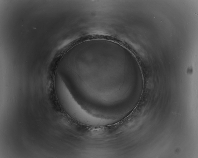 X0000103971303200809261825