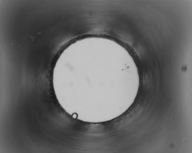 X0000103971304200809261825