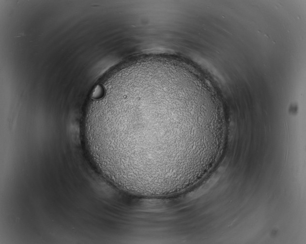 X0000103971305200809261825