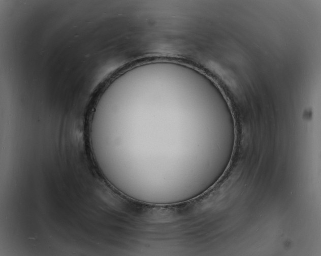 X0000103971307200809261825