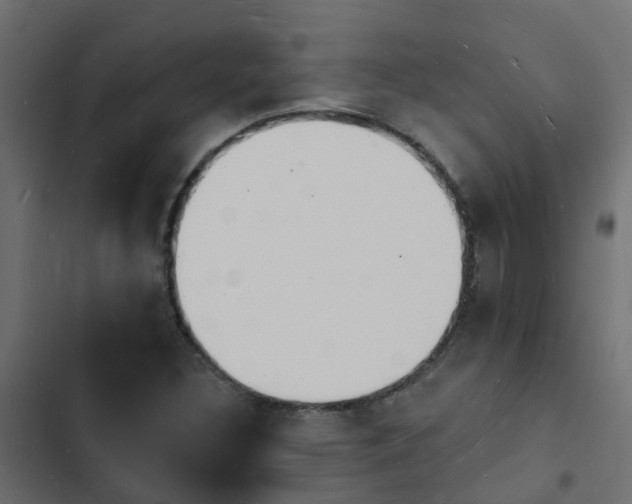 X0000103971308200809261825