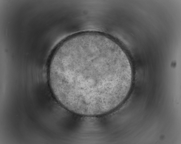 X0000103971310200809261825