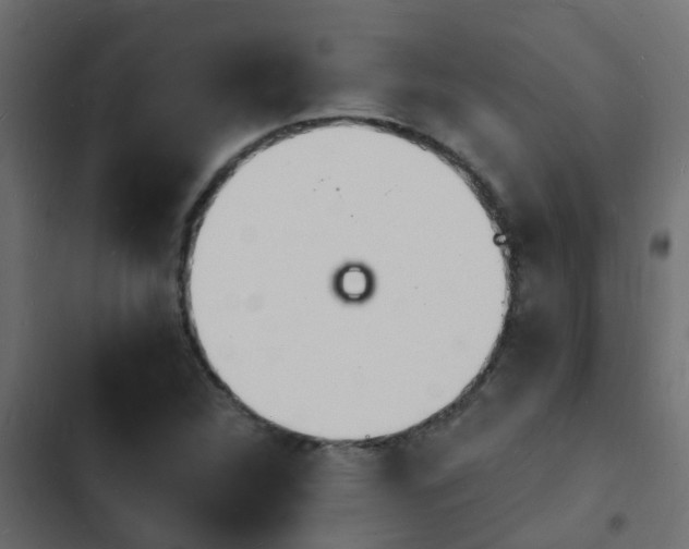 X0000103971312200809261825