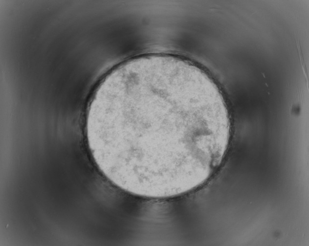 X0000103971314200809261825