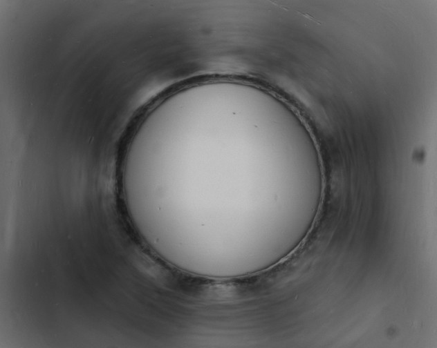 X0000103971315200809261825