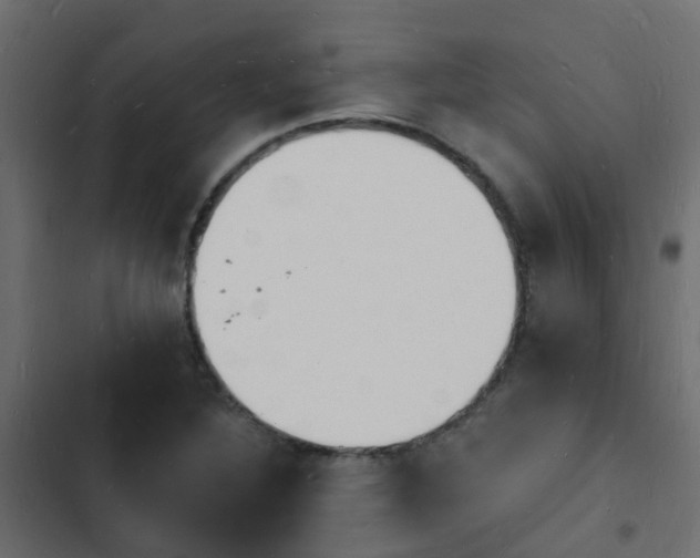 X0000103971316200809261825