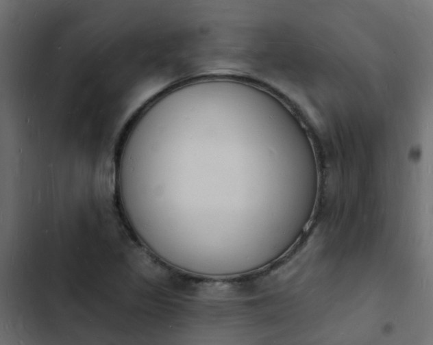 X0000103971317200809261825