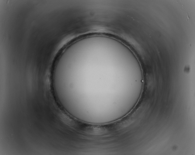 X0000103971318200809261825