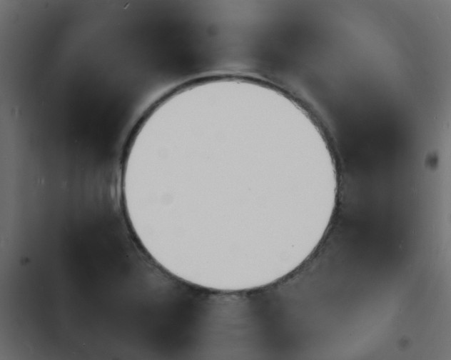 X0000103971320200809261825