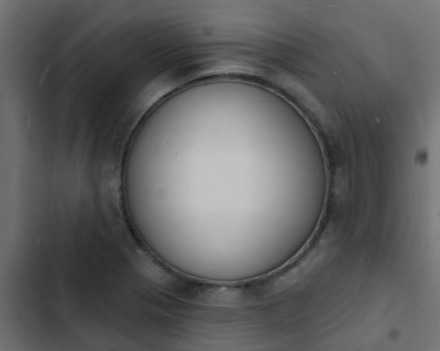 X0000103971321200809261825