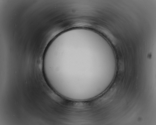 X0000103971322200809261825