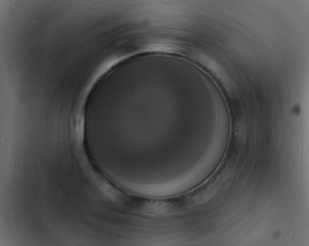 X0000103971323200809261825