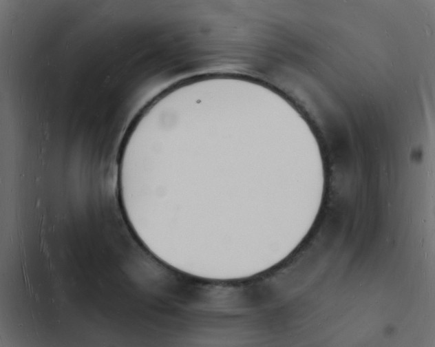 X0000103971324200809261825