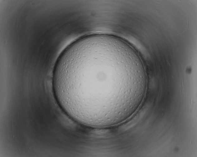 X0000103971325200809261825