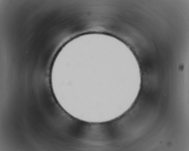 X0000103971326200809261825