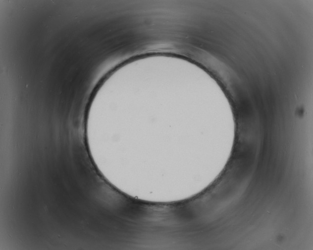 X0000103971328200809261825