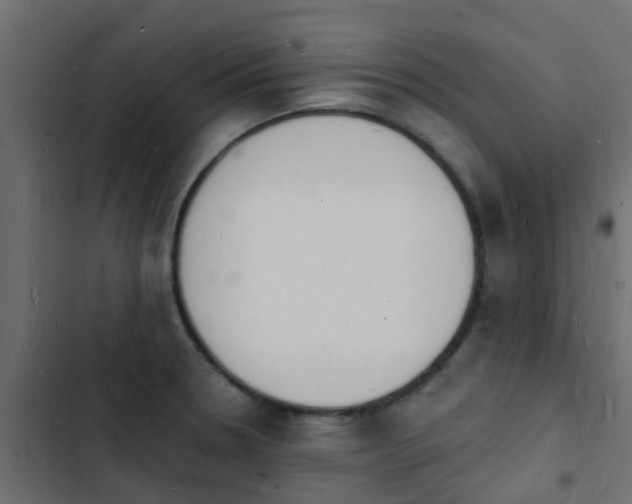 X0000103971330200809261825