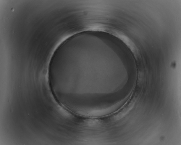 X0000103971331200809261825