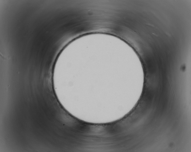 X0000103971332200809261825