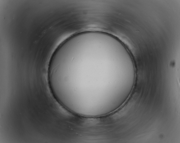 X0000103971333200809261825