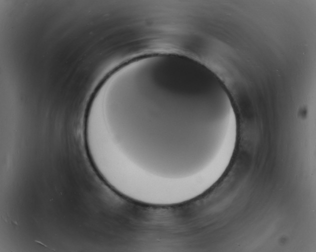 X0000103971334200809261825