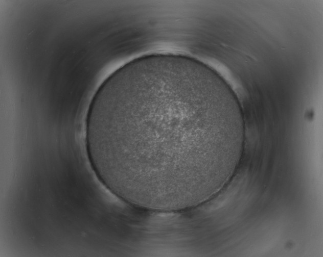 X0000103971335200809261825